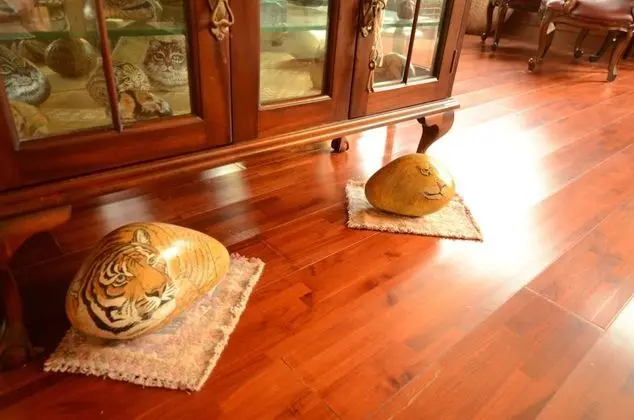 Hsinchu Emei Canadian WoodHouse Homestay - Oda