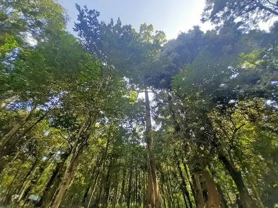 Huaito Mountain View Resort