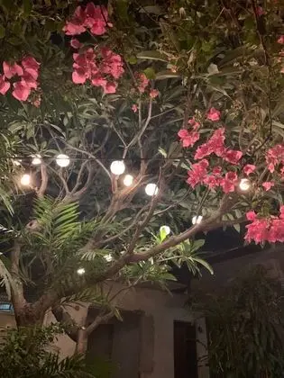 The Hub District Garden Suites - Dış Mekan