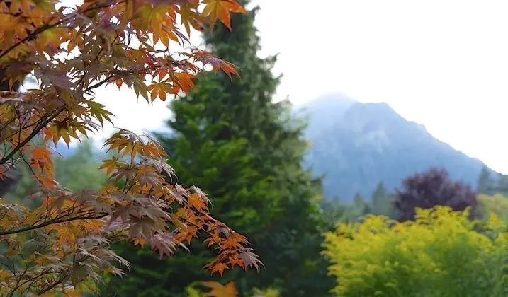 Hotel Hubertus Schliersee - Dış Mekan