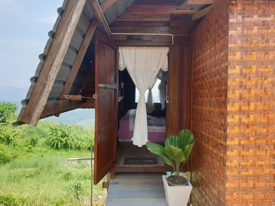 Hug House - Dış Mekan