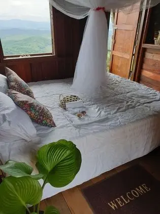Hug House - Öne Çıkan Resim