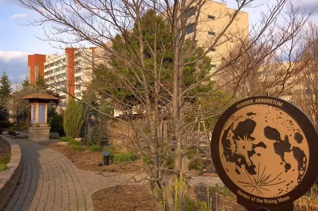 Humber College North Campus Residence - Dış Mekan