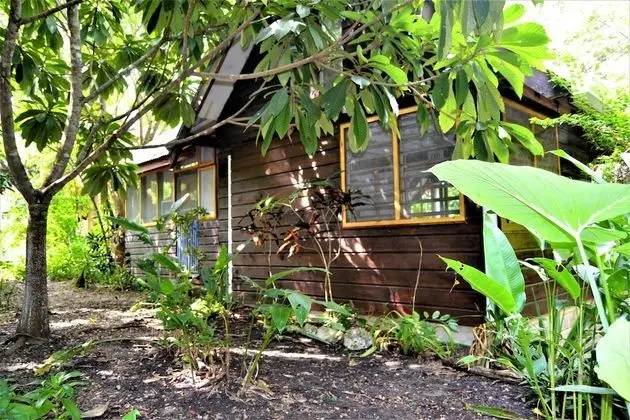 Hummingbird Rest Gold Standard Approved Equipped Cabana in Subtropical Garden