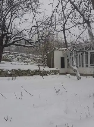 Hunza Regency Inn