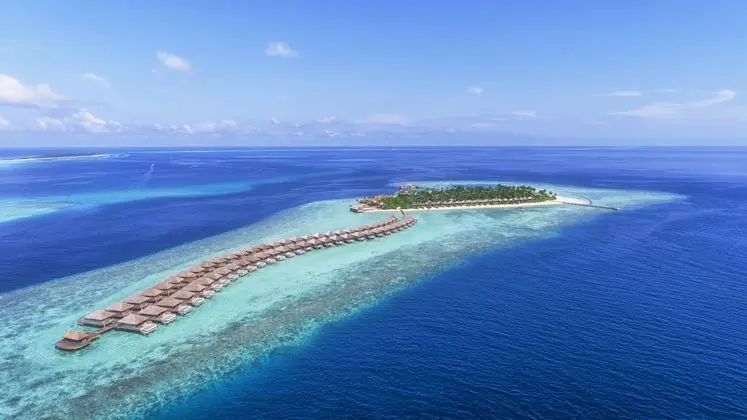 Hurawalhi Island Resort - 1