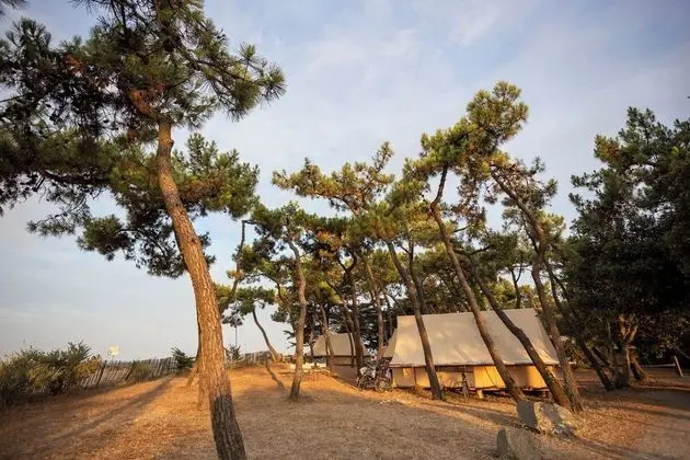 Huttopia Noirmoutier - Dış Mekan