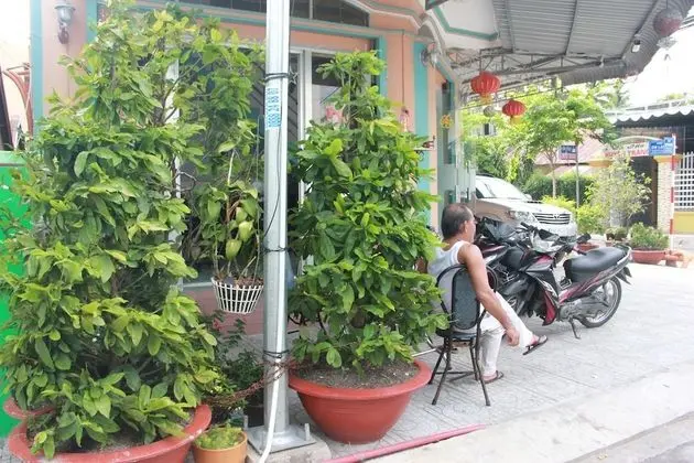 Huynh Huong Guesthouse - Dış Mekan