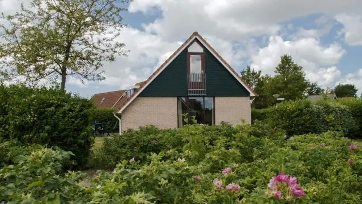 HVZ Orchis Wellness 6p