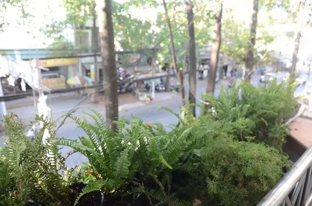 Hy House - Hostel - Dış Mekan