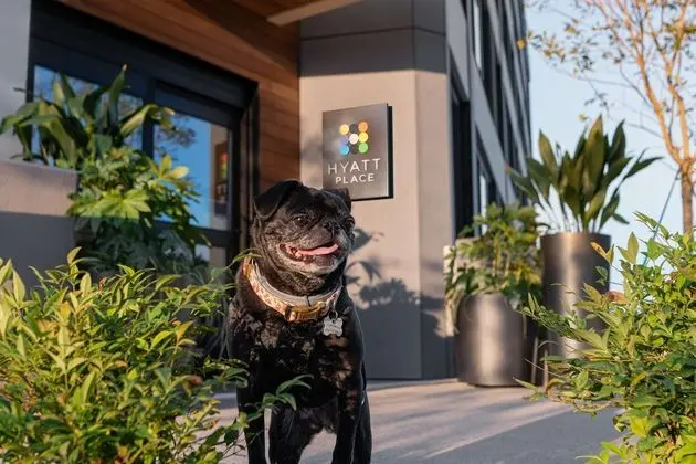 Hyatt Place Atlanta / Perimeter Center - Dış Mekan