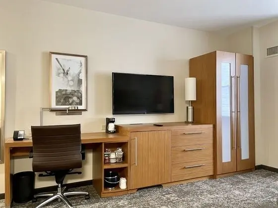 Hyatt Place Houston Downtown - Oda