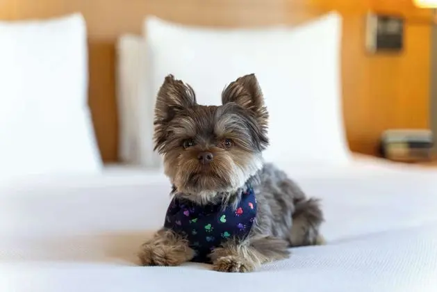 HYATT PLACE PASADENA