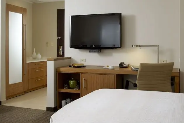 Hyatt Place Pune/Hinjawadi - Oda