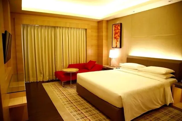 Hyatt Regency Chandigarh - Oda