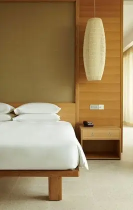 Hyatt Regency Danang Resort and Spa - Oda
