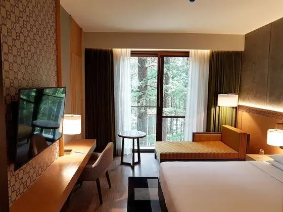 Hyatt Regency Dharamshala Resort - Oda