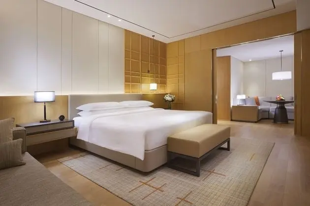 Hyatt Regency Shenzhen Airport - Oda