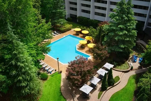 Hyatt Regency Suites Atlanta Nw - Havuz