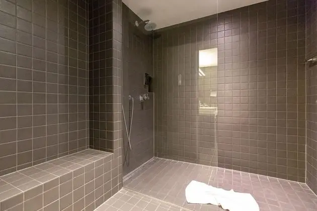 Hyve Hotel Basel - Spa