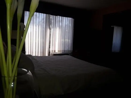Hotel I-64 Richmond - Öne Çıkan Resim