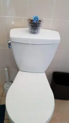 I Heart JA Serendipity Runaway Bay - Banyo Tipleri