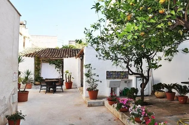 I tre Golfi Captain Alexander