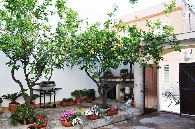 I tre Golfi Captain Cooper