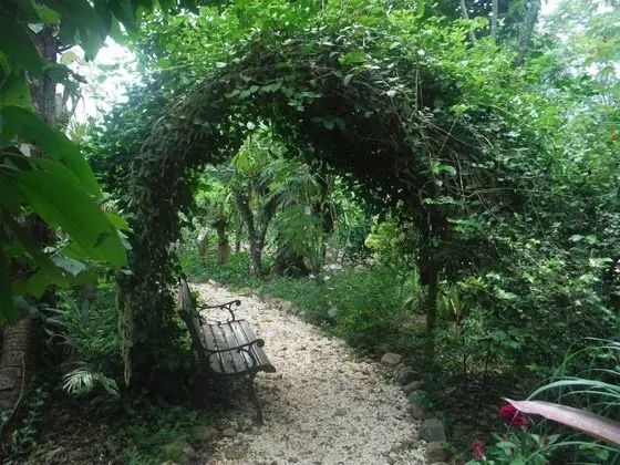 Ian Anderson's Caves Branch Adventure Co - Dış Mekan