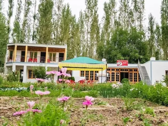 Ibex Guest House - Dış Mekan