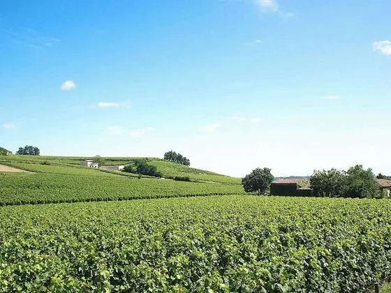 ibis Bordeaux Saint Emilion