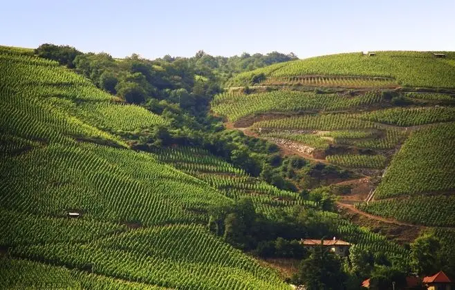 ibis budget Pouilly-en-Auxois - Dış Mekan