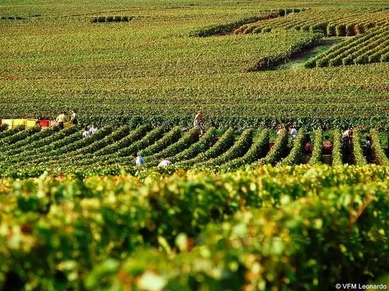 ibis Epernay Centre Ville