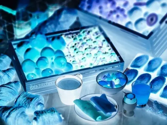 Ibis Grenoble Universite