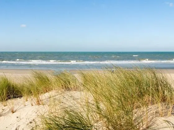 ibis Le Touquet Thalassa - Plaj