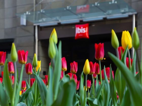 ibis Moscow Centre BakhrushinaFotoğrafı