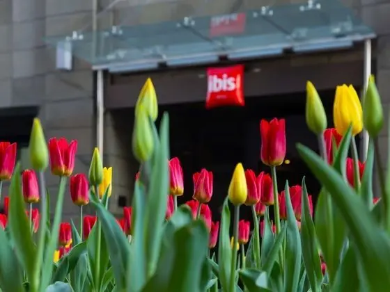 ibis Moscow Centre Bakhrushina - Öne Çıkan Resim