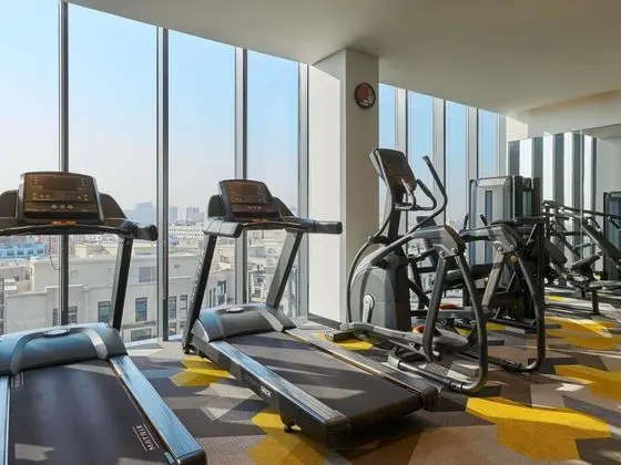 Ibis Styles Dubai Deira - Genel