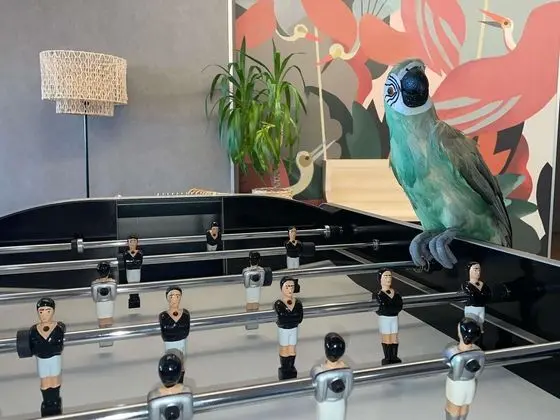 ibis Styles Rennes Cesson - Genel