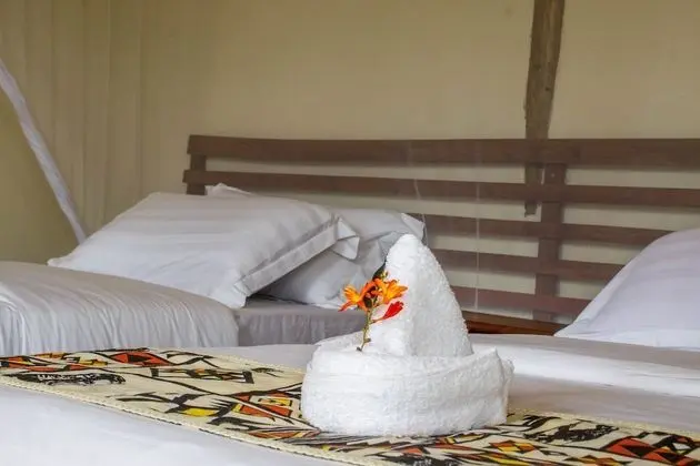 Ichumbi Gorilla Lodge - Oda