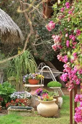 Idan Lodge In The Arava - Öne Çıkan Resim