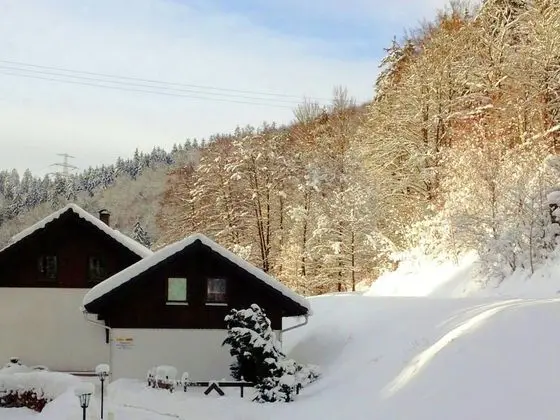 Idyllic Apartment in Goldisthal Thuringia With Forest - Öne Çıkan Resim