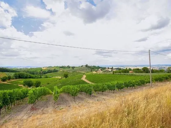 Idyllic Farmhouse in Gambassi Terme-fi With Swimming Pool - Konum Öne Çıkanlar