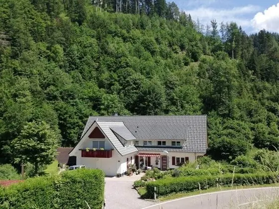 Idyllic Holiday Home in a Mansion With Garden, in the Beautiful Black Forest