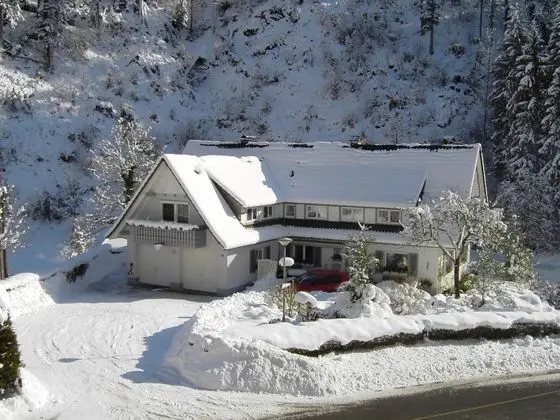 Idyllic Holiday Home in a Mansion With Garden, in the Beautiful Black Forest - Dış Mekan