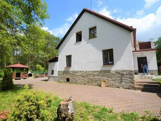 Idyllic Villa With Private Pool in Trebusin Czech Republic - Dış Mekan