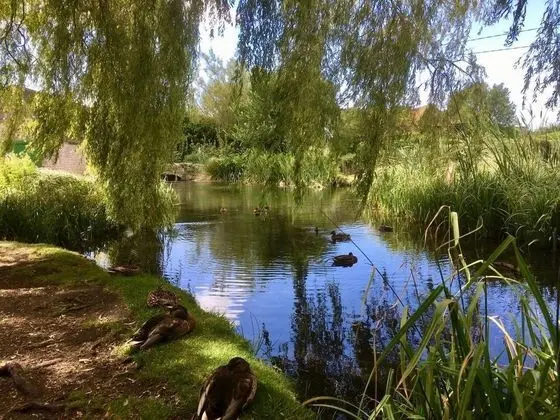 Idyllic Riverside Cottage in Dorset - Dış Mekan
