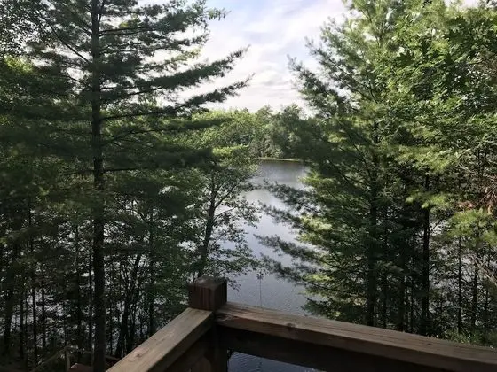 Iggy & Al's Treehouse