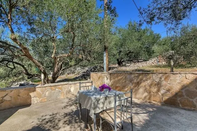 Igor - 5 m From Beach - B