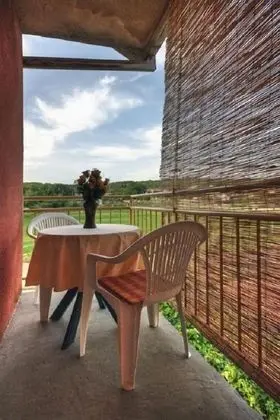 Igor - Near Center - Sa2-agron